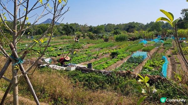《深圳西涌天文台一日遊》天文台棧道+海岸石灘徒步