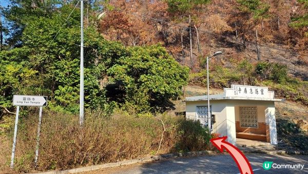 《大嶼山行山篇》獅山🦁象山🐘港珠澳大橋，大澳全景