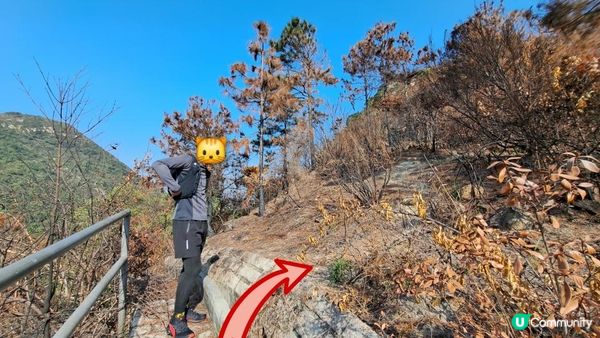 《大嶼山行山篇》獅山🦁象山🐘港珠澳大橋，大澳全景