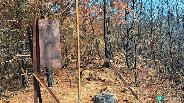 《大嶼山行山篇》獅山🦁象山🐘港珠澳大橋，大澳全景