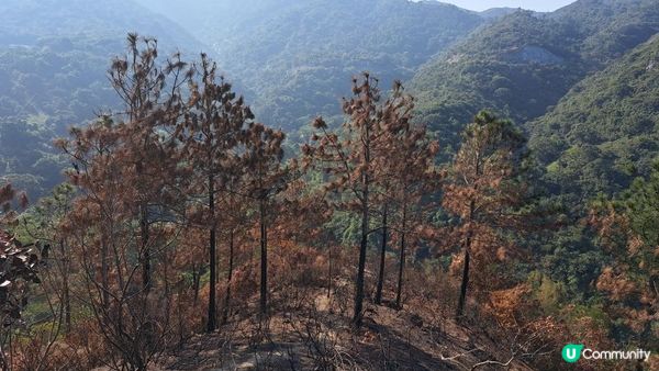 《大嶼山行山篇》獅山🦁象山🐘港珠澳大橋，大澳全景