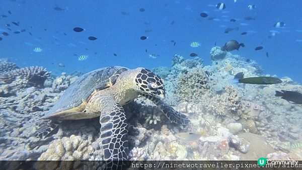 【馬爾地夫之旅】馬爾地夫度假村選島攻略 - 讓你選擇最適合的度假村！