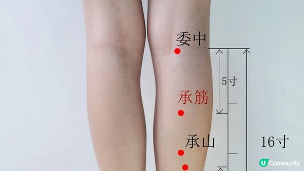 【瘦腿方法】大腿內側好難減? 1個月腿圍激減10cm，告別粗壯蘿蔔腿!