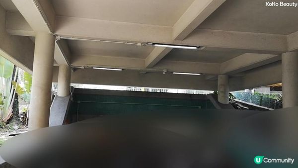 香港行山遊-大埔新娘潭+照鏡潭