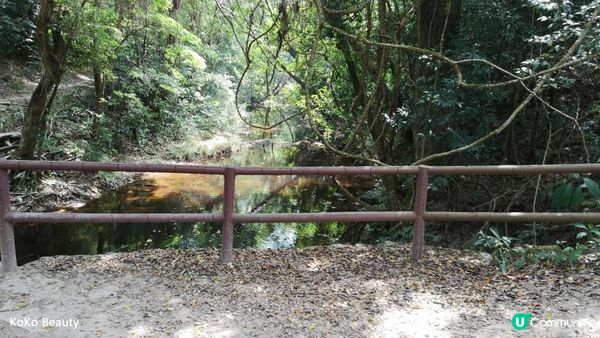 香港行山遊-大埔新娘潭+照鏡潭