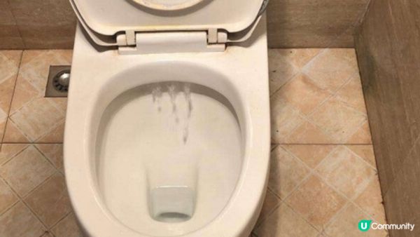 【裝修佬文章轉載】要解決馬桶漏水 先要搵出真正原因 止水皮老化? 波曲故障? 進水管生鏽?