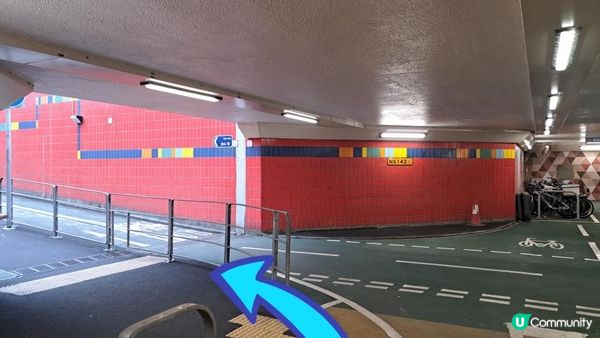 《大埔墟至沙田行山篇》荔枝山，狗肚山