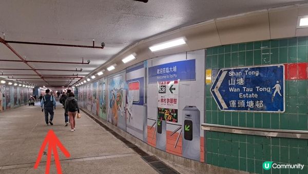 《大埔墟至沙田行山篇》荔枝山，狗肚山