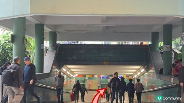 《大埔墟至沙田行山篇》荔枝山，狗肚山