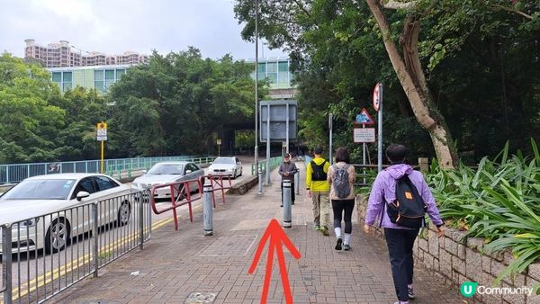 《大埔墟至沙田行山篇》荔枝山，狗肚山