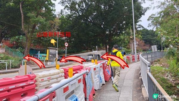 《大埔墟至沙田行山篇》荔枝山，狗肚山
