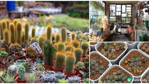 彰化必遊攻略：五大景點詳盡資訊，盡享正宗台灣在地風情