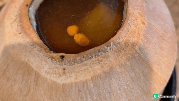 去食美味的冬至飯，鴨肉入味，豬扒軟滑，椰子雞湯香濃。