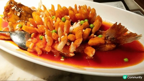 .松子魚+打边爐（火煱）+ 生日在 荃灣區 op mall ...