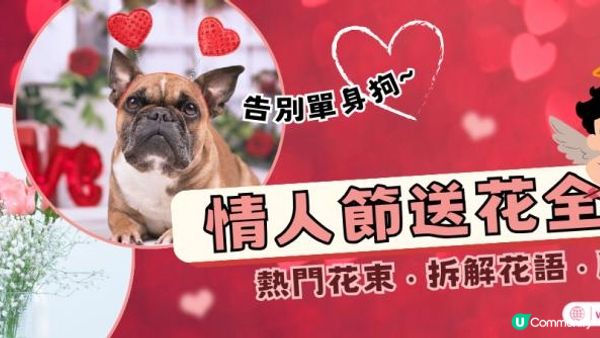 2025情人節送花︱十款熱門花束花語、朵數顏色禁忌