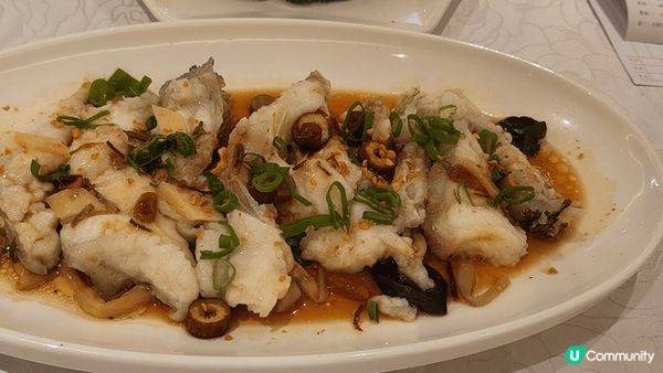 大龍躉兩味 = 清蒸龍躉頭腩 + 翡翠炒龍躉球：“好味👍好味...