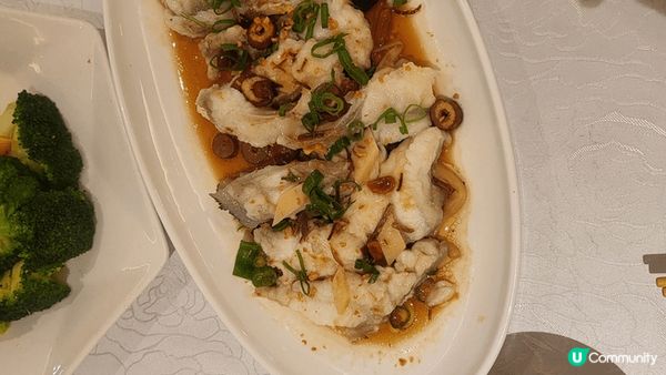 大龍躉兩味 = 清蒸龍躉頭腩 + 翡翠炒龍躉球：“好味👍好味...