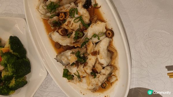 大龍躉兩味 = 清蒸龍躉頭腩 + 翡翠炒龍躉球：“好味👍好味...