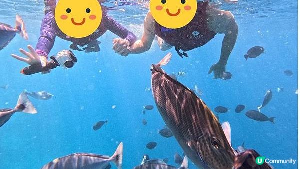 【馬爾地夫之旅】馬爾地夫Maafushi島飯店和行程推薦 - Kaani Palm Beach Hotel