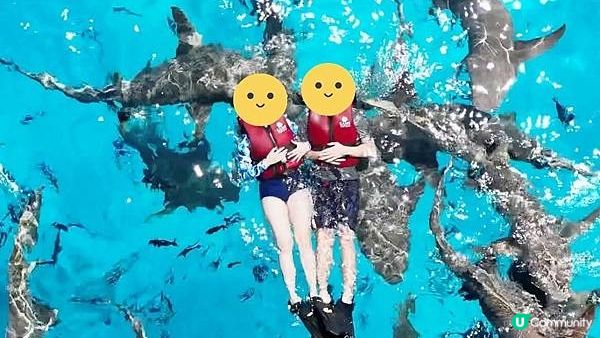 【馬爾地夫之旅】馬爾地夫Maafushi島飯店和行程推薦 - Kaani Palm Beach Hotel
