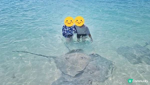 【馬爾地夫之旅】馬爾地夫Maafushi島飯店和行程推薦 - Kaani Palm Beach Hotel