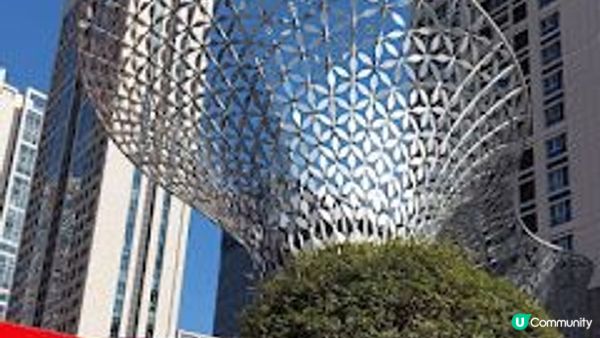 深圳行花市