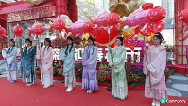深圳行花市