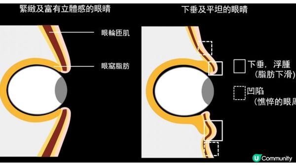 日本殿堂級護膚品牌【POLA眼霜】真心好用又抵用，本月購買有額外優惠