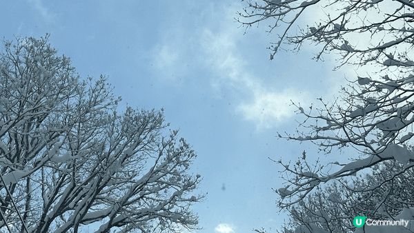 12月嘅日本長野 真係好令 過左一個白色雪地聖誕haha