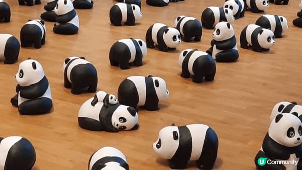 新年行大运，荃灣城门河，见到齐天大聖，牛大力，同各方遊客BB...