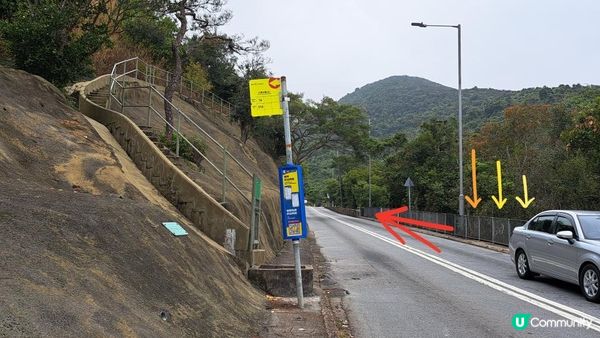 《大潭道至西灣河行山篇》野豬徑、柏架山、將軍石/僧侶石/元寶石➕️吊鐘花