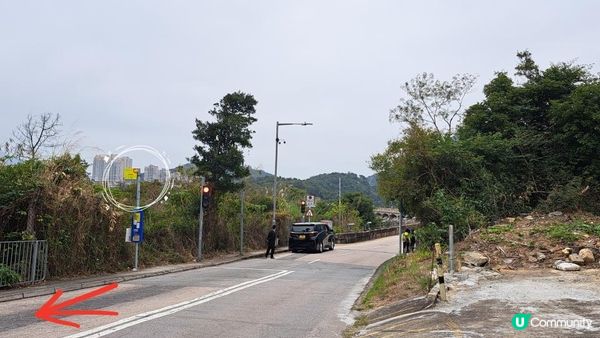 《大潭道至西灣河行山篇》野豬徑、柏架山、將軍石/僧侶石/元寶石➕️吊鐘花