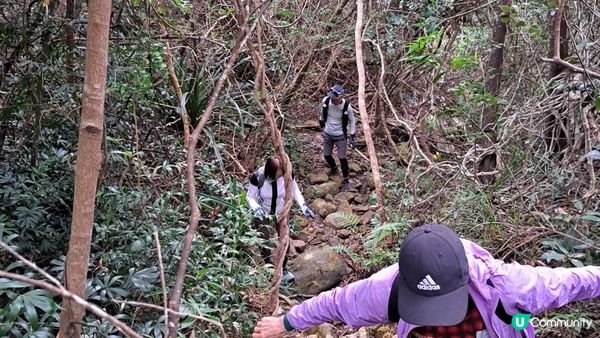 《大潭道至西灣河行山篇》野豬徑、柏架山、將軍石/僧侶石/元寶石➕️吊鐘花