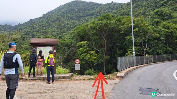 《大潭道至西灣河行山篇》野豬徑、柏架山、將軍石/僧侶石/元寶石➕️吊鐘花