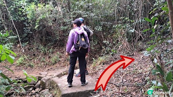 《大潭道至西灣河行山篇》野豬徑、柏架山、將軍石/僧侶石/元寶石➕️吊鐘花