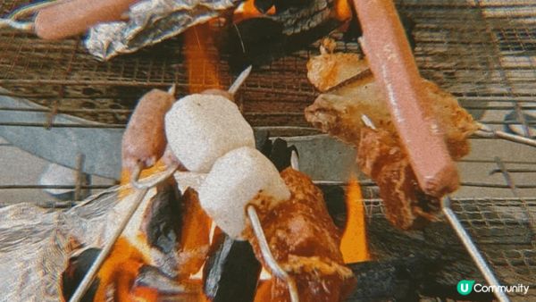 從不同地方購買的美食 包括燒烤 也有好吃的飯盒，更有自己在家...