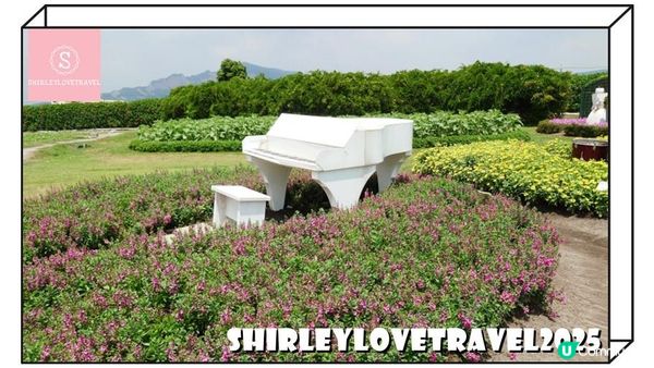 【一個旅囡遊台灣】打卡必去！超美 台中景點 推薦