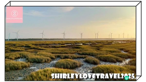 【一個旅囡遊台灣】打卡必去！超美 台中景點 推薦