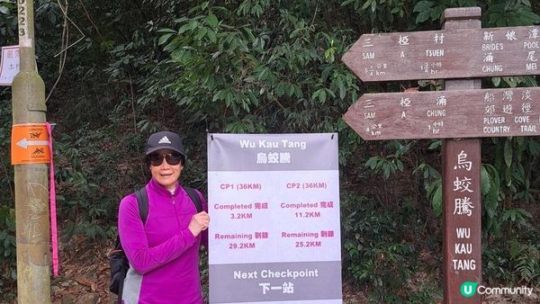 (船灣淡水湖效郊遊徑)烏蛟騰至大美督