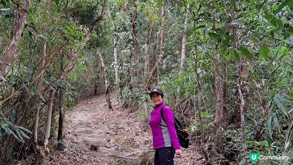 (船灣淡水湖效郊遊徑)烏蛟騰至大美督