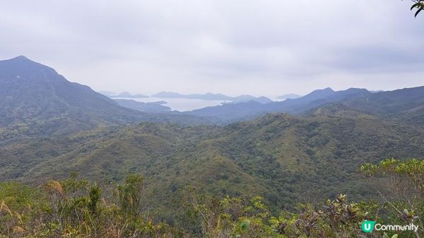 (船灣淡水湖效郊遊徑)烏蛟騰至大美督