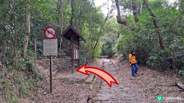 (船灣淡水湖效郊遊徑)烏蛟騰至大美督