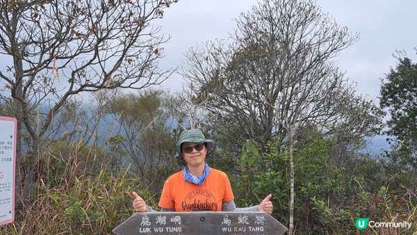 (船灣淡水湖效郊遊徑)烏蛟騰至大美督