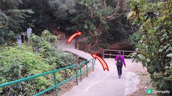 (船灣淡水湖效郊遊徑)烏蛟騰至大美督