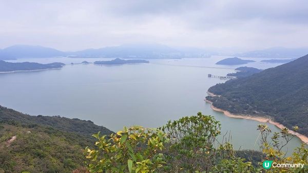 (船灣淡水湖效郊遊徑)烏蛟騰至大美督