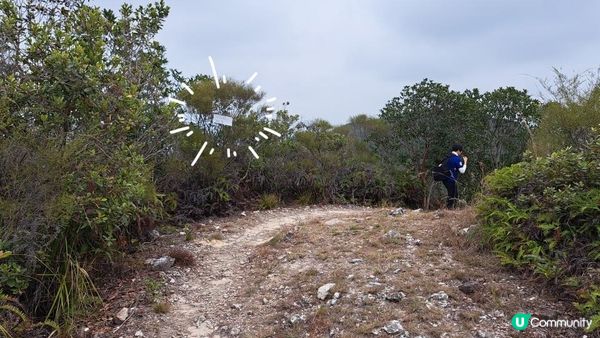 (船灣淡水湖效郊遊徑)烏蛟騰至大美督