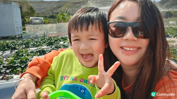 熱點1：元朗大棠有機農場摘草莓