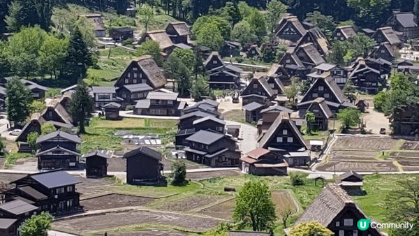 遊日本金澤，吃金色軟雪糕。遊文化遺產白川鄉，金澤廿一世紀博物...