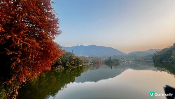 仙湖植物公園鄰近地鐵站好方便，原來有不同主題園區可以盡情打卡...