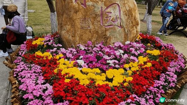 趁冬末春未來到，深圳福田區梅園一遊。美麗的冬梅，請不要為打卡...